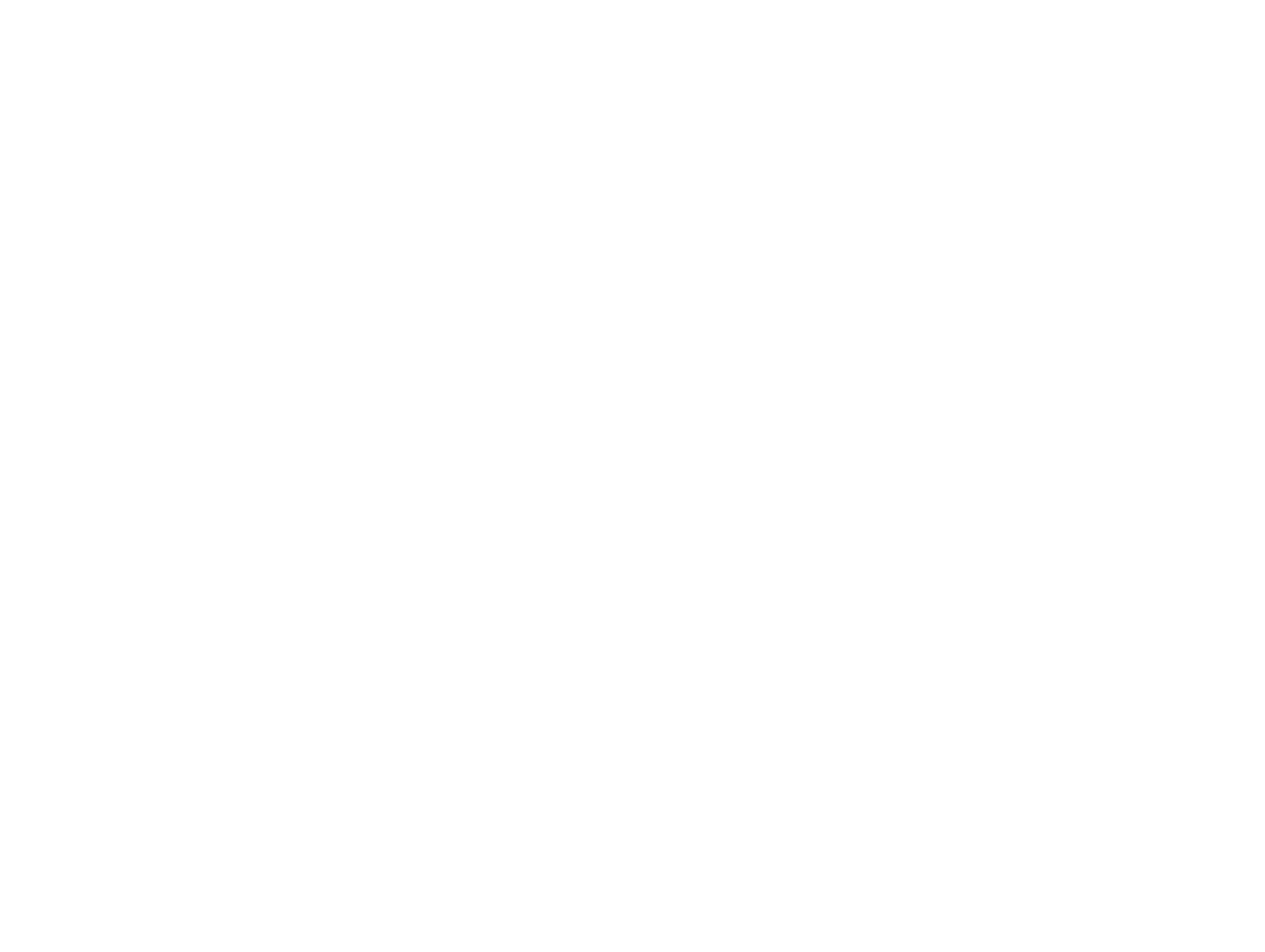 Opal world Company : Security systems